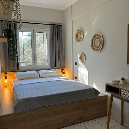 Olive Tree Apartments Lefkáda 외부 사진