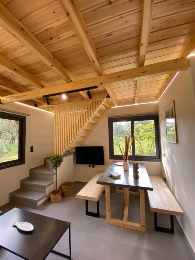 Olive Tree Apartments Lefkáda 객실 사진