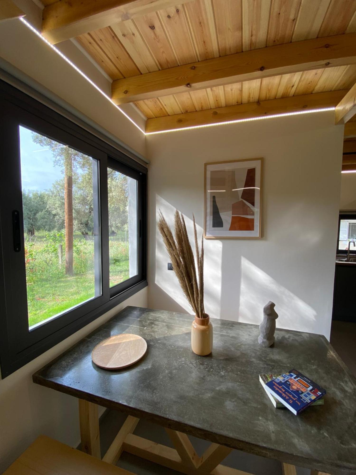 Olive Tree Apartments Lefkáda 객실 사진