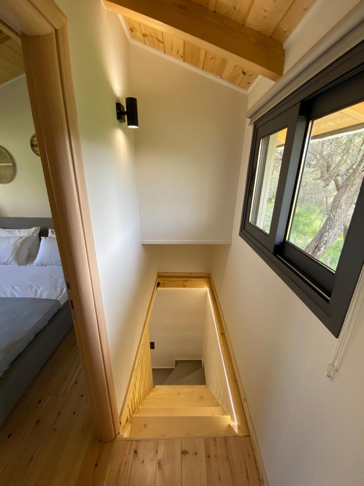 Olive Tree Apartments Lefkáda 객실 사진