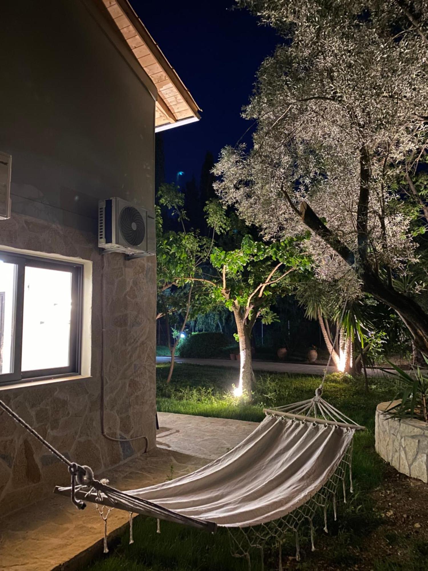 Olive Tree Apartments Lefkáda 객실 사진