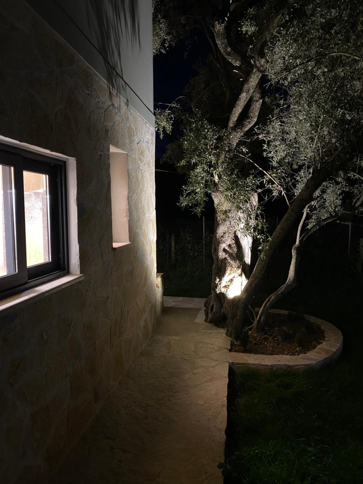 Olive Tree Apartments Lefkáda 외부 사진